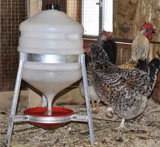 Поилка для кур.