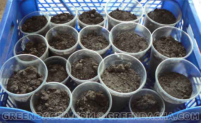 Грунт для рассады.