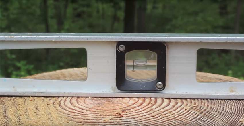 Горизонтальный спил пенька.