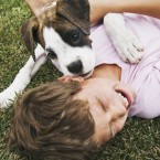 Dogs may make you laugh (which is good), but they also reportedly caused eight times more injuries to their owners than cats did.