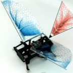 These cockroach-like robots are outfitted with wings to help them traverse uneven terrain and land on their feet when descending from great heights.