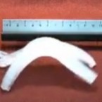 This soft-bodied robot, inspired by the ocean's invertebrates, moves by air that is pumped into its little body.