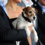Uggie, the breakout canine star of "The Artist," is see with his fellow actors at a special screening of the likely Best Picture nominee.