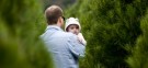 A family shops at an Orange County, Calif., Christmas tree farm: Americans are expected to spend 3.1 percent more on trees this year than they did in 2010.