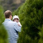 A family shops at an Orange County, Calif., Christmas tree farm: Americans are expected to spend 3.1 percent more on trees this year than they did in 2010.