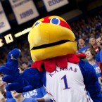 The University of Kansas Jayhawk mascot: KU bought up several Kansas-related .xxx domains over the last two months in an effort to prevent porn producers from profiting off the school.