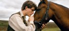 "War Horse," Steven Spielberg's emotional World War I epic, comes out on Christmas Day, and promises to be a sentimental favorite this holiday season.
