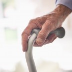 Stem cells may be the key to prolonging youth, according to a new study.