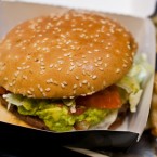 A high-fat diet can actually re-program the structure of the brain, new research conducted on rodents suggests.