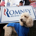 Dog owners among Mitt Romney's fans may react poorly to a new attack ad which recounts the time his family vacationed with their crated Irish Setter strapped to the car's roof.