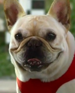 Canines were prominent in this year's Super Bowl ads, but for many critics, Skechers' Mr. Quiggly proved to be top dog.