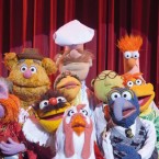The charm of the Muppets, though ample, failed to woo the Academy into granting them a live performance at this year's Oscars.