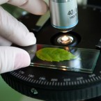 Only 35 percent of conservative voters have a "great deal of trust in science," compared to 48 percent in 1974.