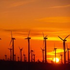 A California wind farm at sunset: According to a new study, nighttime temps in the air above wind-powered turbines in Texas were 1.3 degrees warmer than in other parts of the state.