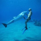 Because humans can't hear certain high-frequency sounds, there are some noises dolphins make that are unintelligible. This new speaker could help decipher them.