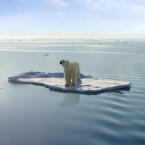 Apparently unmoved by images of lone polar bears adrift on melting ice, 51 percent of Generation Xers admitted to not following climate change closely at all.