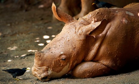 The week's best photojournalism