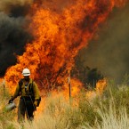 A firefighter walks away after setting a backburn in an attempt to control a raging wildfire in Nutrioso, Ariz., on June 10: Already this year, nearly 13,000 square miles of land &mdash; an area larger than Massachusetts &mdash; has been burned by wildfires.&nbsp;
