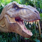 According to new DNA research, T-Rex and his prehistoric pals will have to stay relegated to the big screen.
