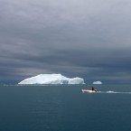 A fishing boat on Greenland's Jacobshavn Bay sails past floating icebergs on August 26, 2007.