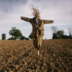 College degrees just aren't what they used to be.