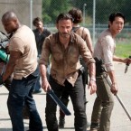 It's been a grim couple of months for Dish's zombie fans, who have been without The Walking Dead and other AMC shows since July.