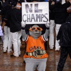 Mascot Lou Seal holds up a sign reading 'NL Champs' after the San Francisco Giants defeat the St. Louis Cardinals 9-0 to advance to the World Series.