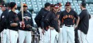 The scrappy San Francisco Giants will play the underdogs to the slugger-stacked Detroit Tigers in this year's World Series.
