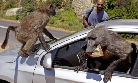 The week's best photo journalism