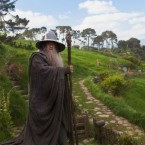 The Hobbit: An Unexpected Journey was filmed in the New Zealand countryside, where 27 animals reportedly died during production.