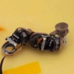 This Milli-Motein can bend, twist, elongate, and combine with any number of other links to turn into nearly any shape you can imagine.