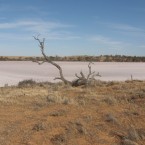 Some Apple Maps users have reportedly been stranded in the scorching heat at Australia's Murray Sunset National Park..