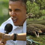 9 animal species named after famous people