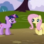 Twilight Sparkle is the purple pony on the left.&nbsp;Fluttershy is the yellow pony on the right. Duh!