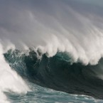 A WWII-era conceptual tsunami bomb was nicknamed "Project Seal."