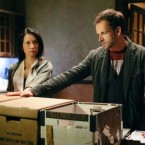 In Elementary, trusty sidekick Holmes is played by (gasp!) a woman.