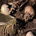 A trio of blue-eyed blondes? A bevy or raven-haired young lads? Now, scientists may know.