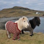 Fivia and Vitamin sport the season's "it" textile while pulling off that irresistible sweeping bang look.